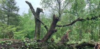 More severe weather expected tonight as crews cleanup from Sunday storms storms brentwood
