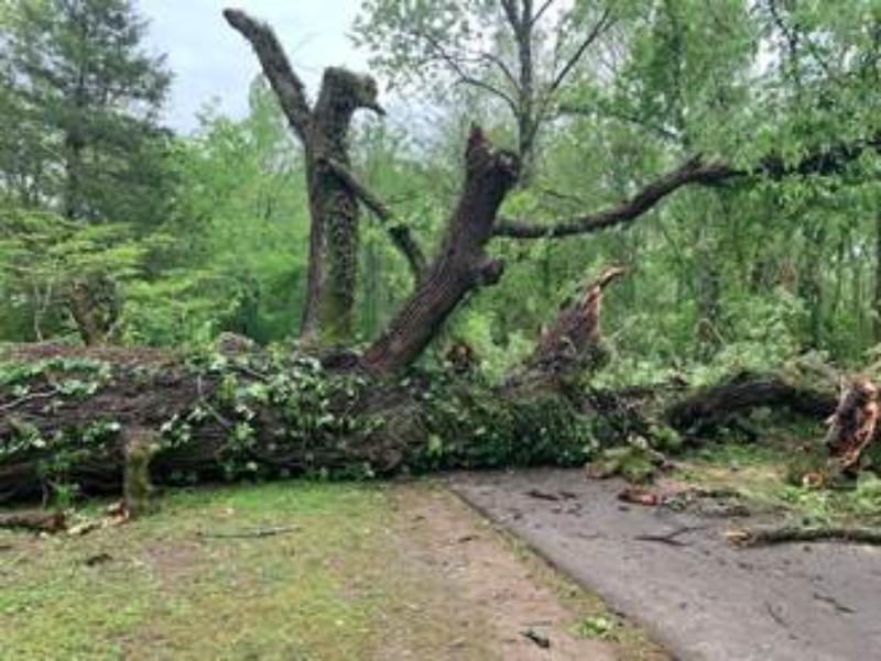 storms brentwood storms brentwood