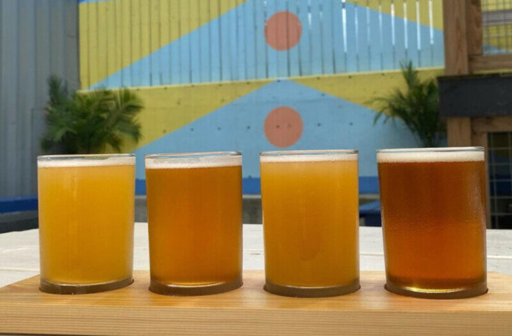 High Hopes & Hops Fundraising Event to Take Place in August