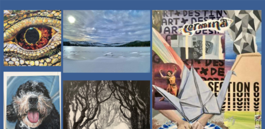 WCS Students Win Middle TN Scholastic Art Awards